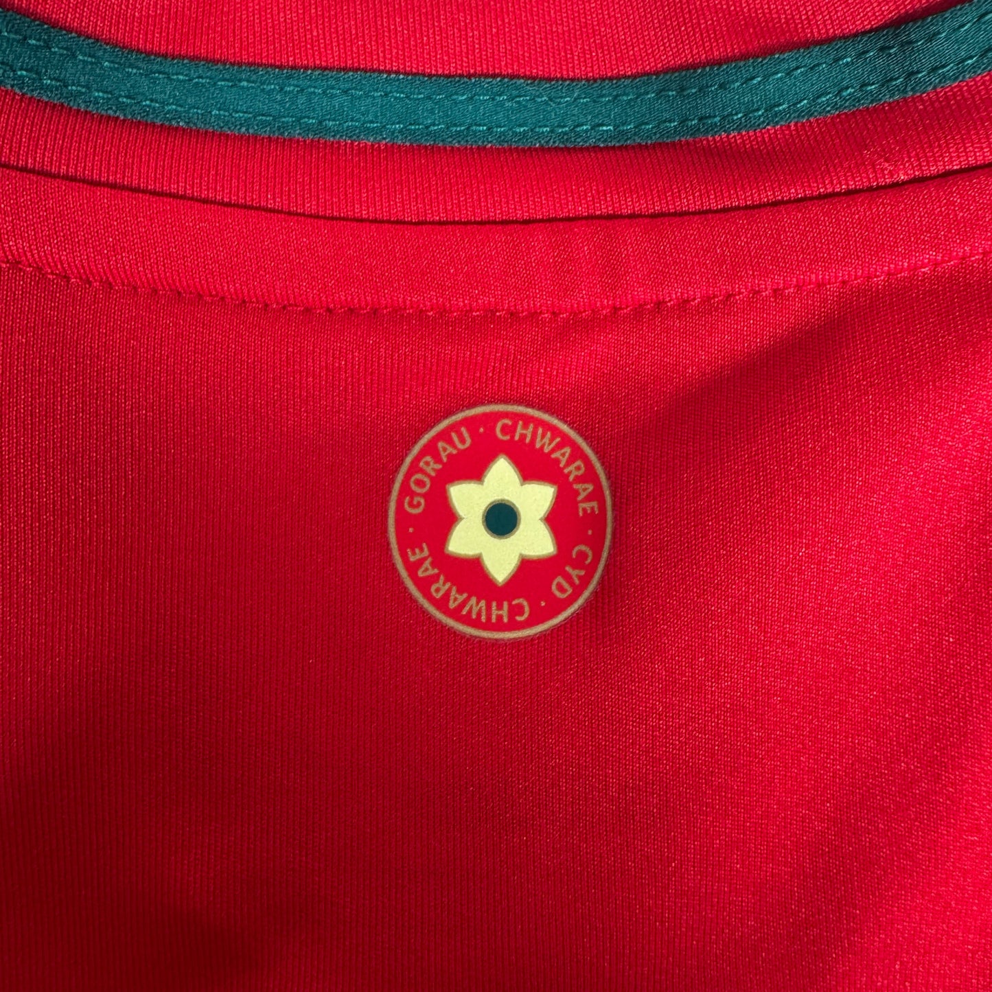 Wales 2024/2025/2026 Home Football Shirt Medium