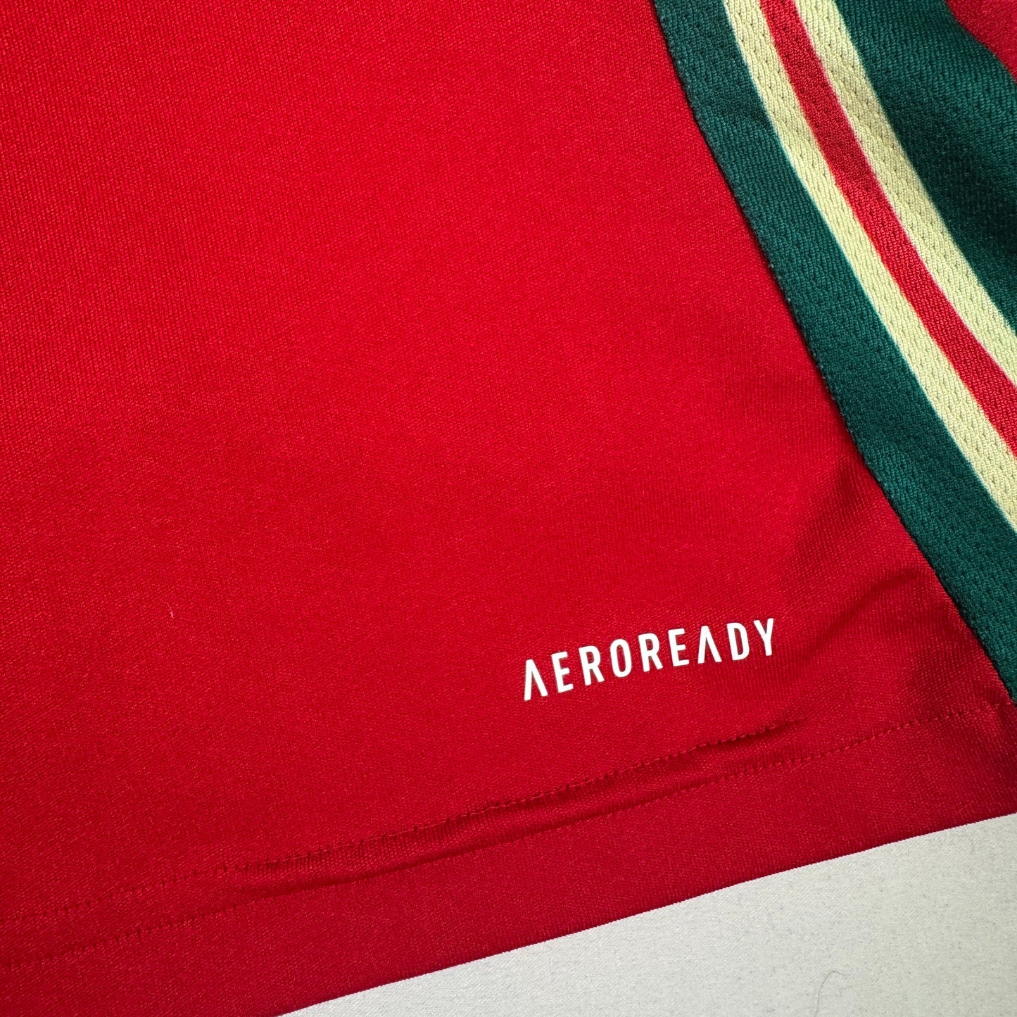Wales 2024/2025/2026 Home Football Shirt Small