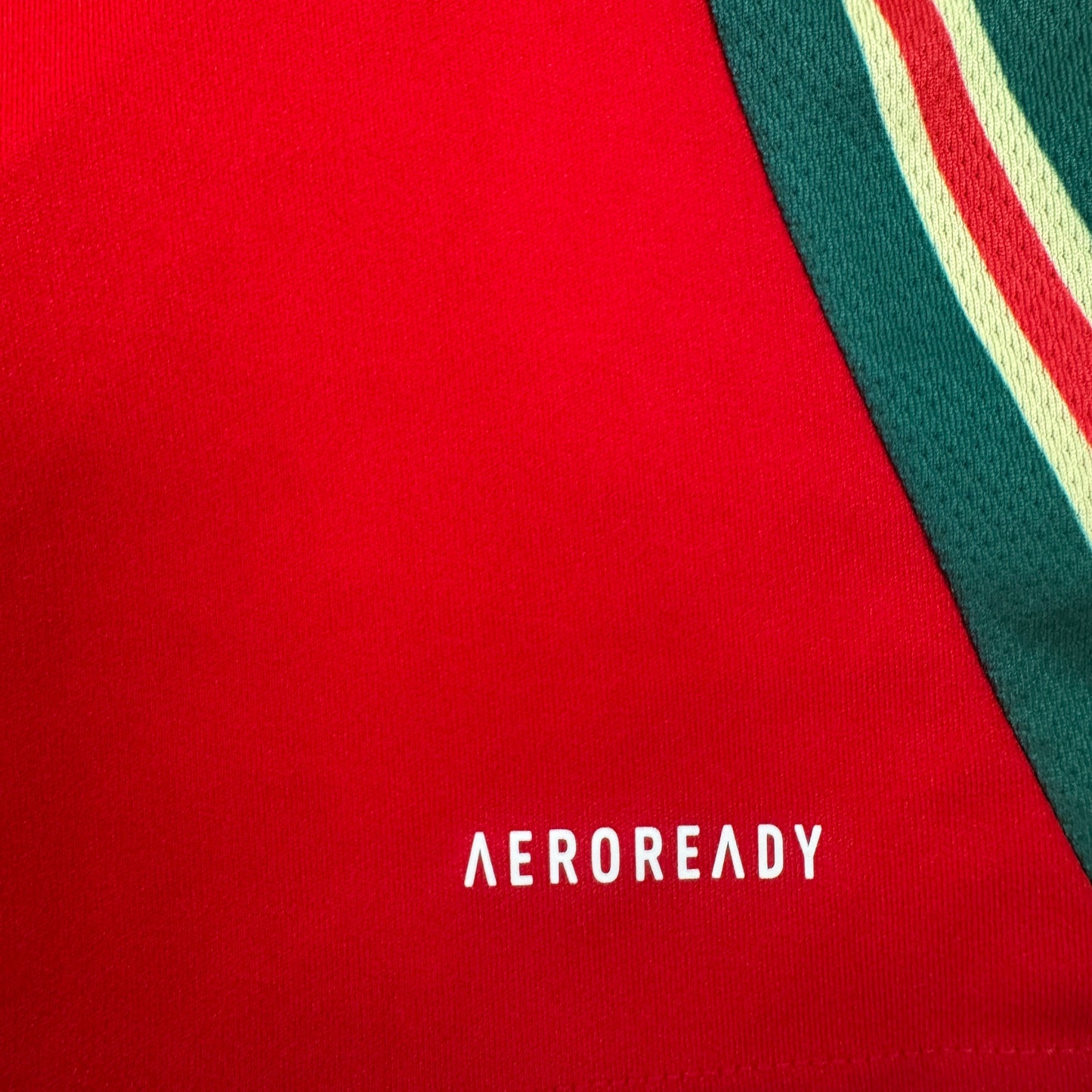 Wales 2024/2025/2026 Home Football Shirt XL